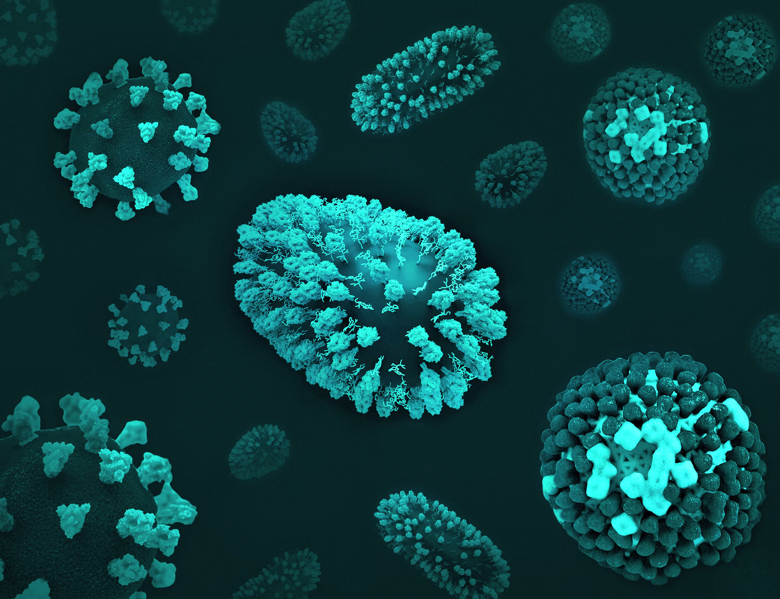 Pathogen Information Website